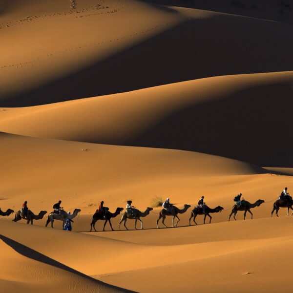 8 Days To Marrakech Via Merzouga From Tangier