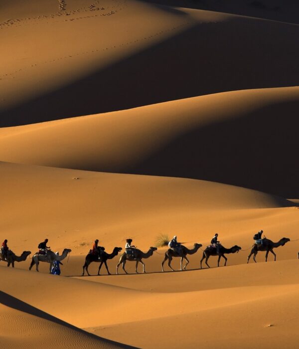 8 Days To Marrakech Via Merzouga From Tangier