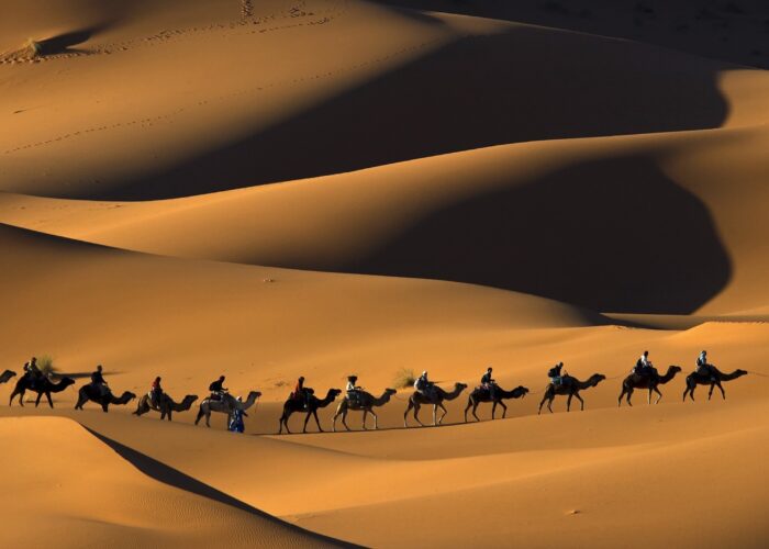 8 Days To Marrakech Via Merzouga From Tangier