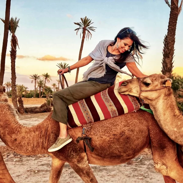 Marrakech camel ride